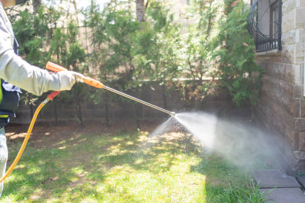 Professional Pest Control in Fort Ashby, WV